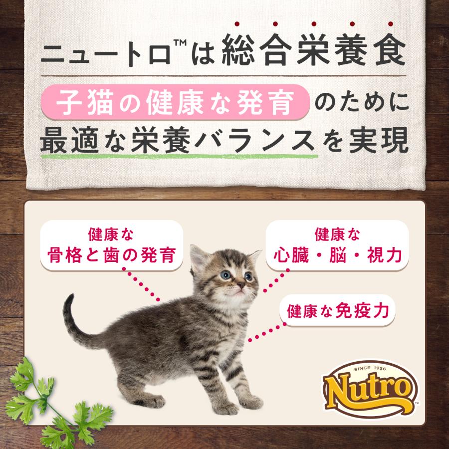 ニュートロ　子猫　ナチュラルチョイス　室内猫用　キトン　チキン　５００ｇ＋デイリー　ディッシュ　子猫用　パウチ　おまけ付　猫｜chanet｜02