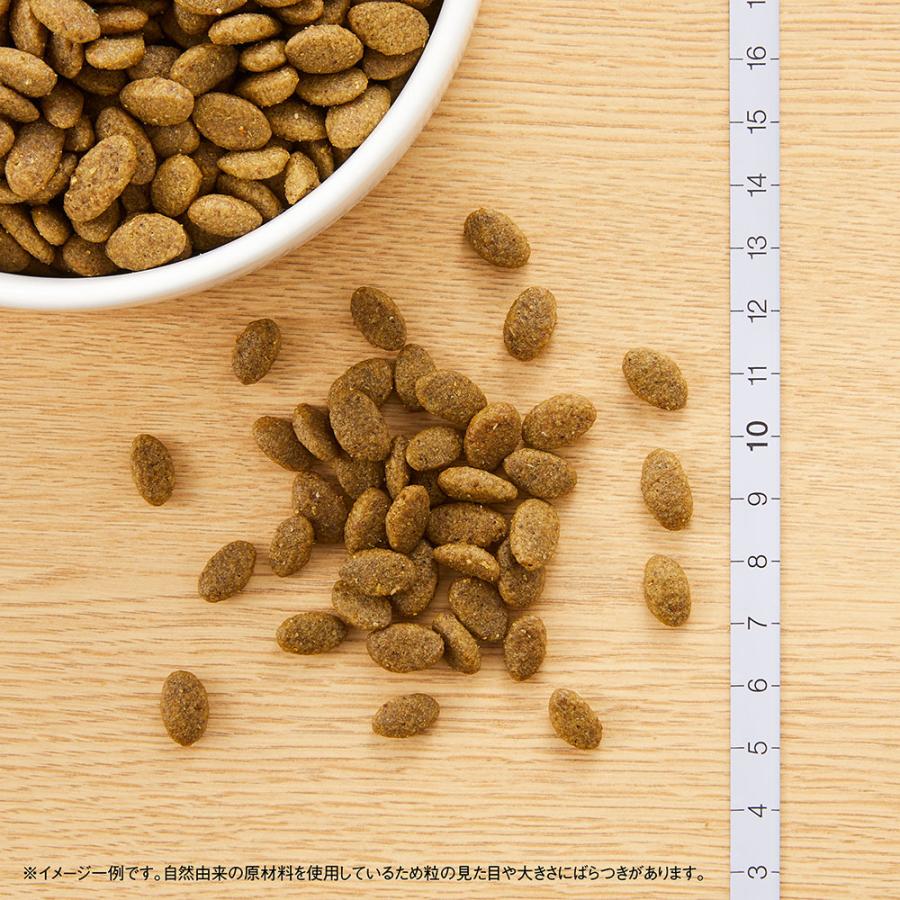 ナチュラルチョイス 【レビュー記載でおまけパウチ1袋同梱