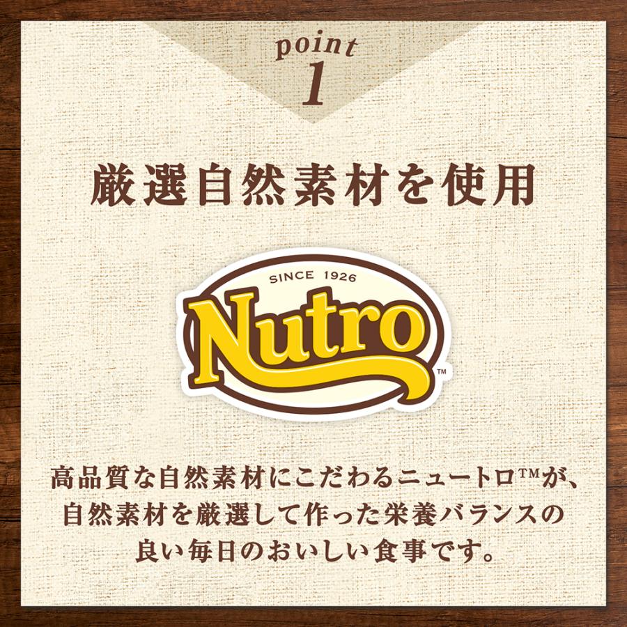 【箱売り】ニュートロ　デイリーディッシュ　アダルトチキン　35g×12袋入×8 Amazon | ニュートロ デイリーディッシュ パウチ 成猫用 チキン