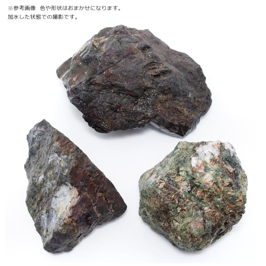 チャーム（charm） 形状お任せ 風山石 Mサイズ（約13〜15cm