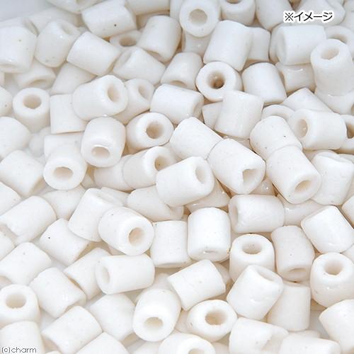 52 Off 新グラスリング 高品質ろ過材 ｓサイズ １０ｋｇ ５ｋｇ ２袋 約２０ｌ リング状ろ材 400円 沖縄別途送料7 バクテリア