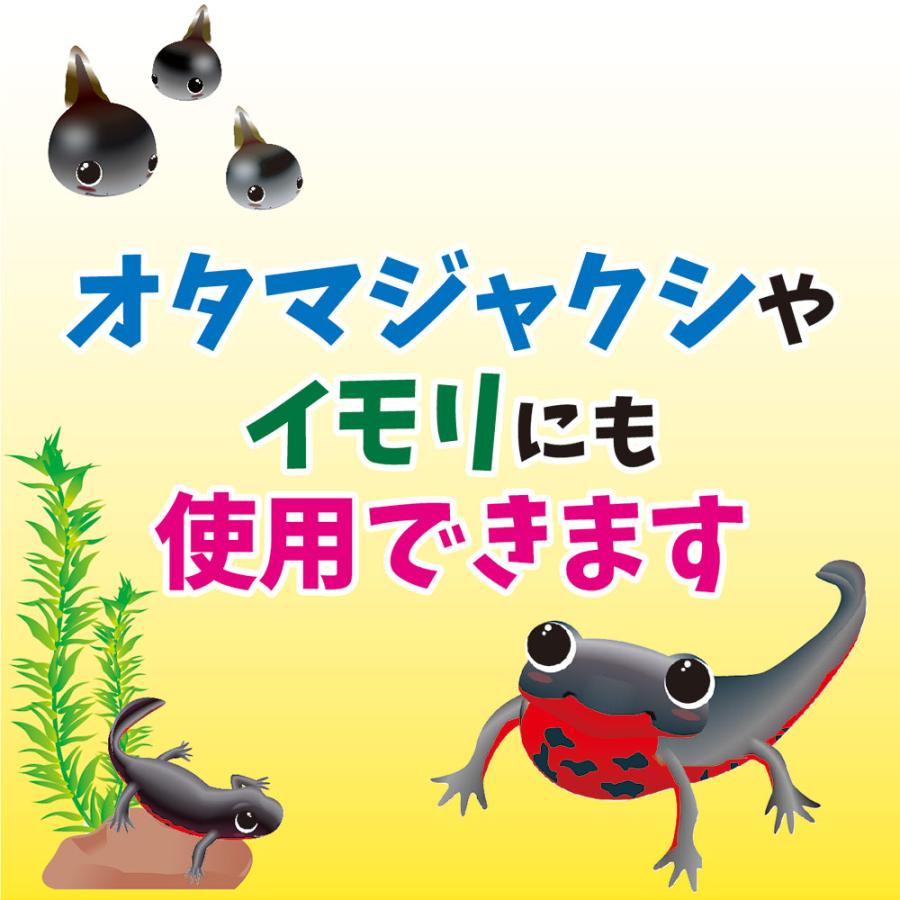 キョーリン ひかりウーパールーパー 大粒 30g×3袋 餌 エサ