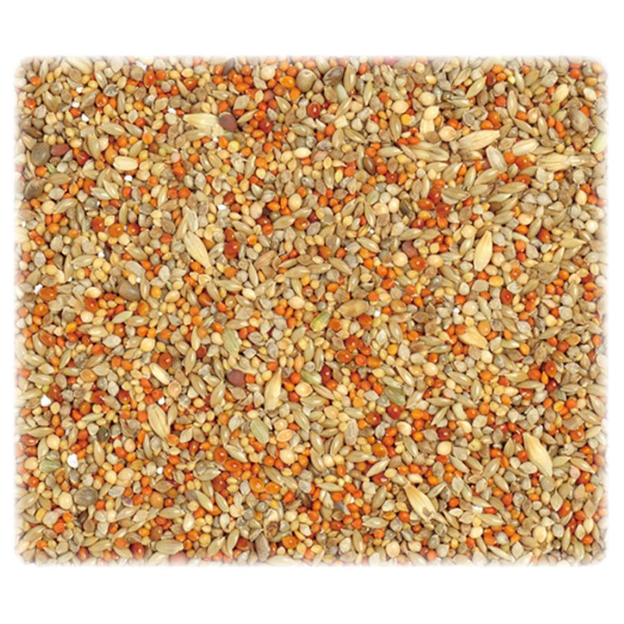 Ledライト搭載 白 折りたたみ 液晶モニター付 速度24キロ 5 5インチ 電動キックボード レビューで保証延長 6 0ah 3段階ギア リチウム電池 Www Alvenius Ind Br