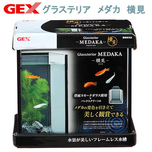 グラステリア GEX グラステリア メダカ 横見 ×3個 水槽 小型水槽