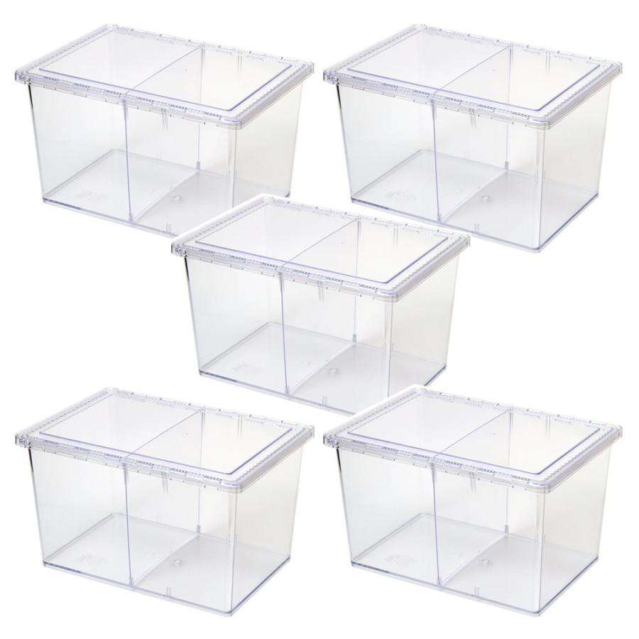 クリアースライダー　ラージ　プラケース×５個　お一人様３点限り の商品画像