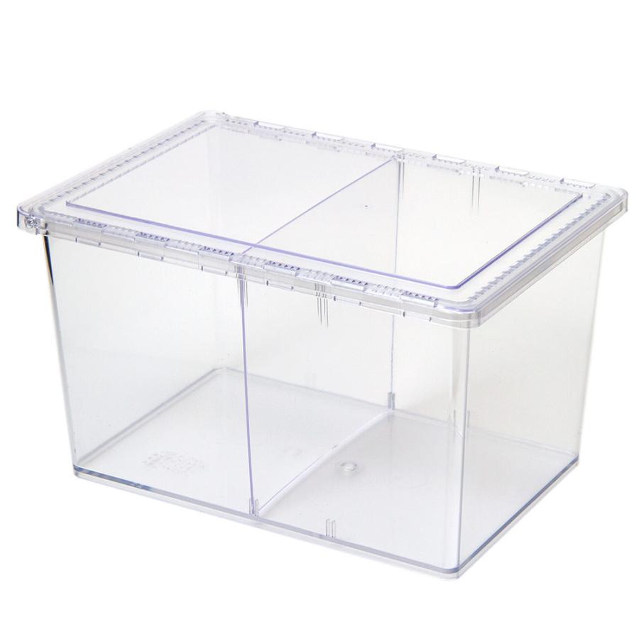 クリアースライダー　ラージ　プラケース×１０個　お一人様３点限り の商品画像