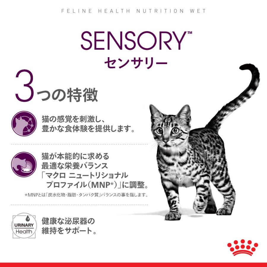 ロイヤルカナン　猫　センサリーフィール　食感にこだわる猫用　８５ｇ　正規品　ＦＨＮ−ＷＥＴ　お一人様５点限り｜chanet｜03