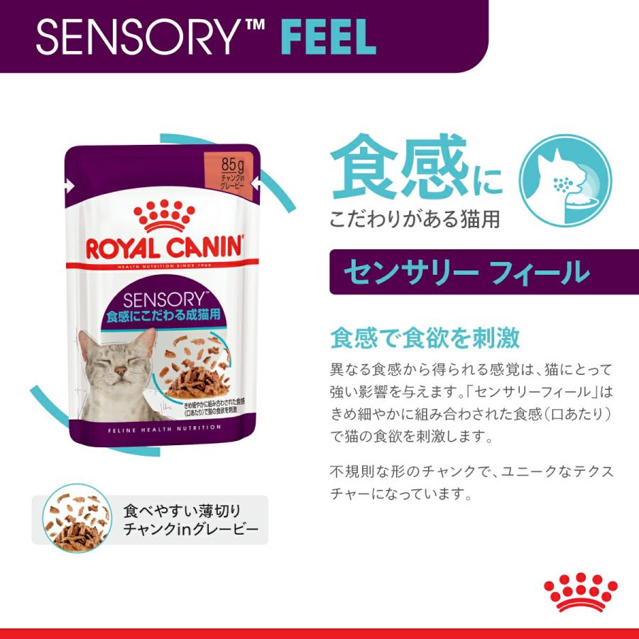 ロイヤルカナン　猫　センサリーフィール　食感にこだわる猫用　８５ｇ　正規品　ＦＨＮ−ＷＥＴ　お一人様５点限り｜chanet｜05