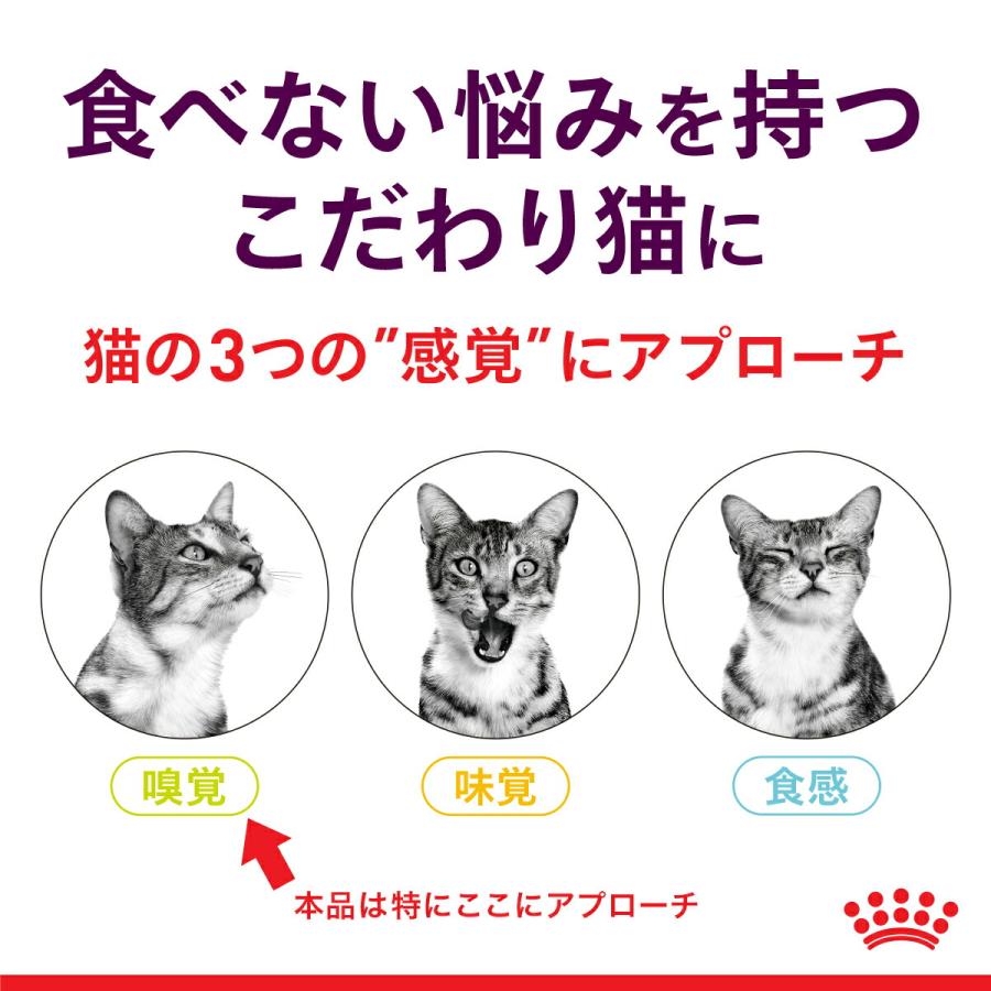 ロイヤルカナン　猫　センサリースメル　香りにこだわる猫用　８５ｇ　正規品　ＦＨＮ−ＷＥＴ　お一人様５点限り｜chanet｜02