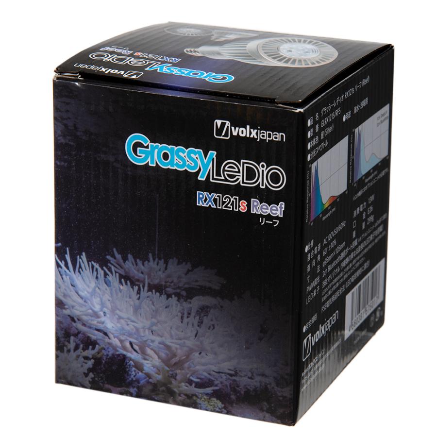 volxjapan（ボルクスジャパン） Grassy LeDio RX121s