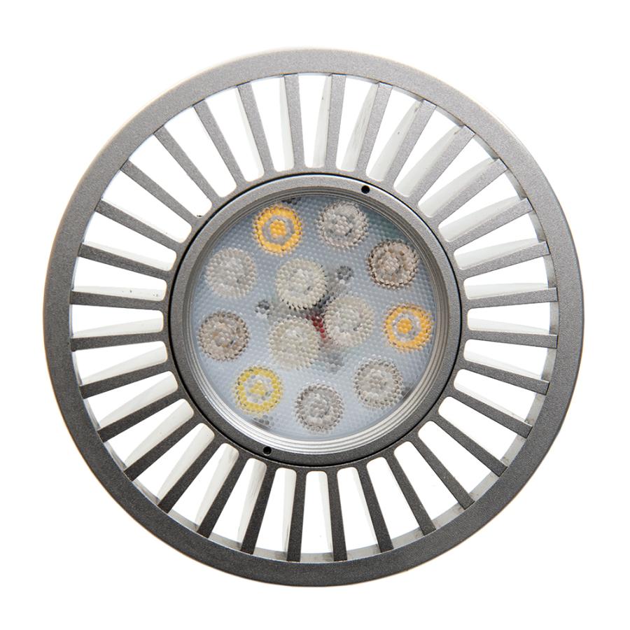 volxjapan（ボルクスジャパン） Grassy LeDio RX121s