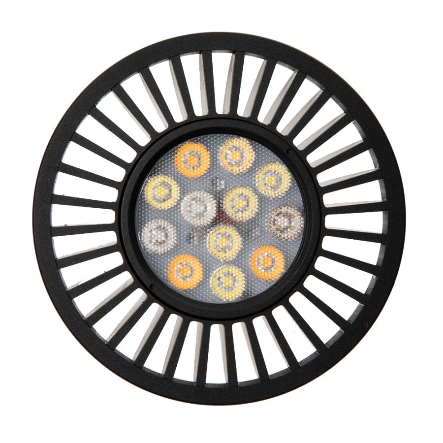 グラッシーレディオ Grassy LeDio RX122 Deep ⁄ BT2 ⁄ クリップ × 2