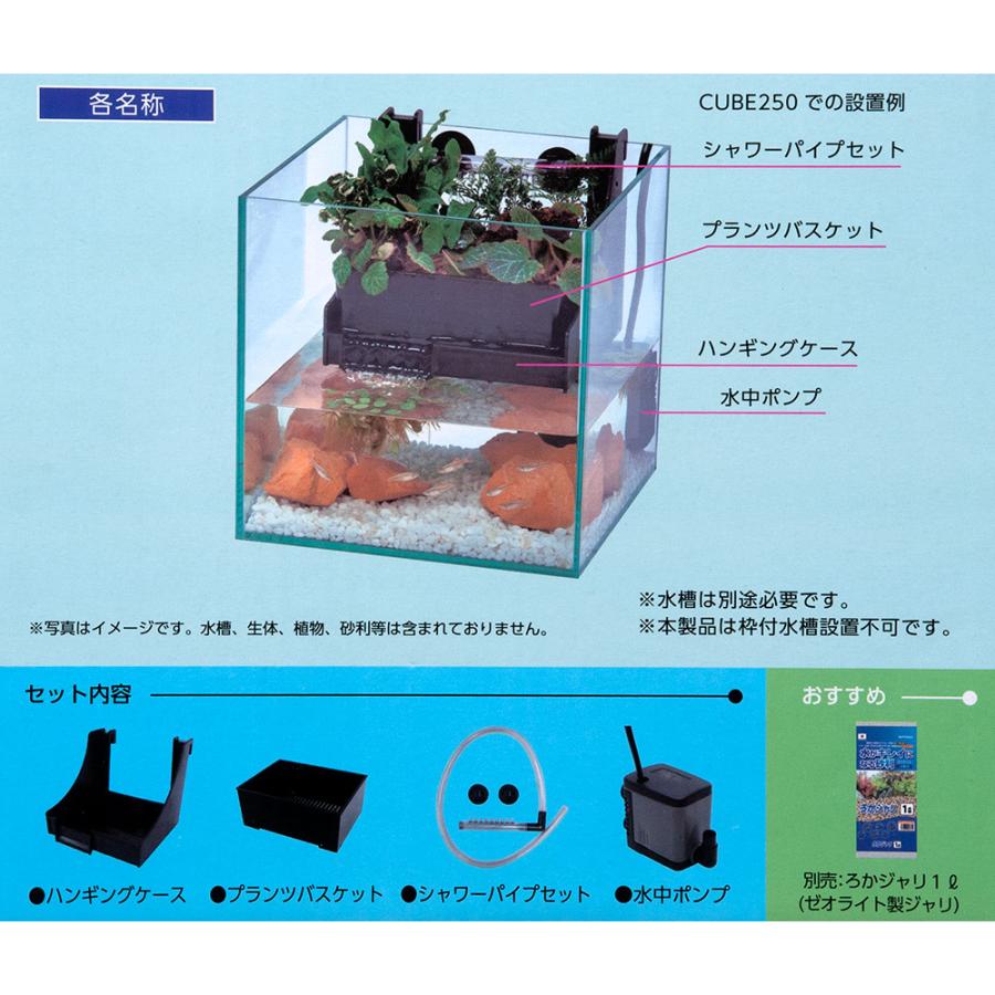 コトブキ工芸 コトブキ工芸 イージーポニックス : チャーム