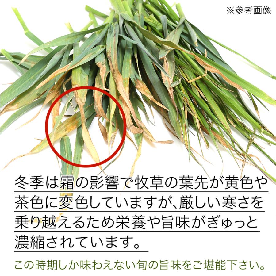 （観葉植物）国産　とれたて生牧草　オーツヘイ　５００ｇ　うさぎ　陸ガメ　ＵＳＡＹＡＭＡ｜chanet｜06