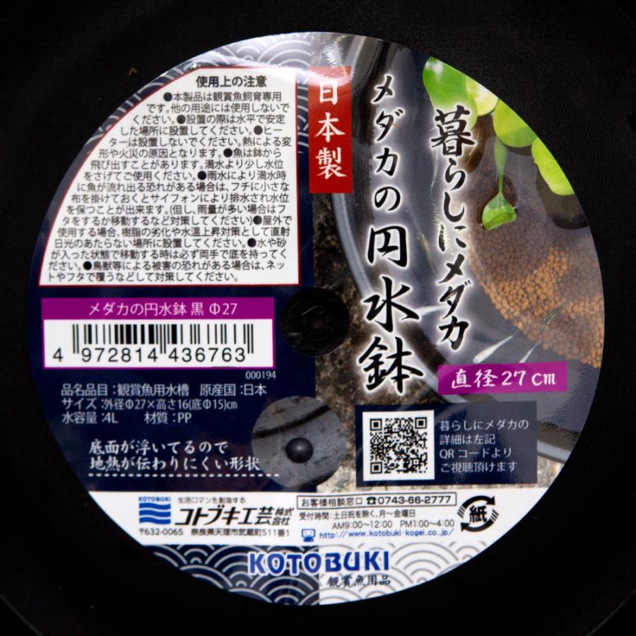 メダカ入 コトブキ工芸 暮らしにメダカ メダカの円水鉢 黒 直径27 : チャーム