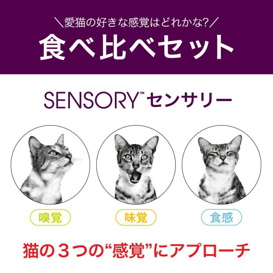 ロイヤルカナン（ROYAL CANIN） 猫 感覚にこだわる成猫用（食感・味
