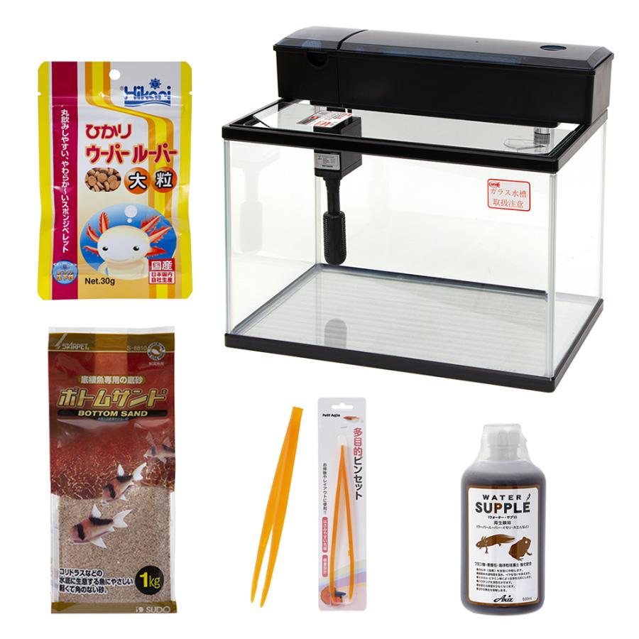 ウーパールーパーの基本飼育セット 沖縄別途送料 チャーム Charm ヤフー店 通販 Yahoo ショッピング