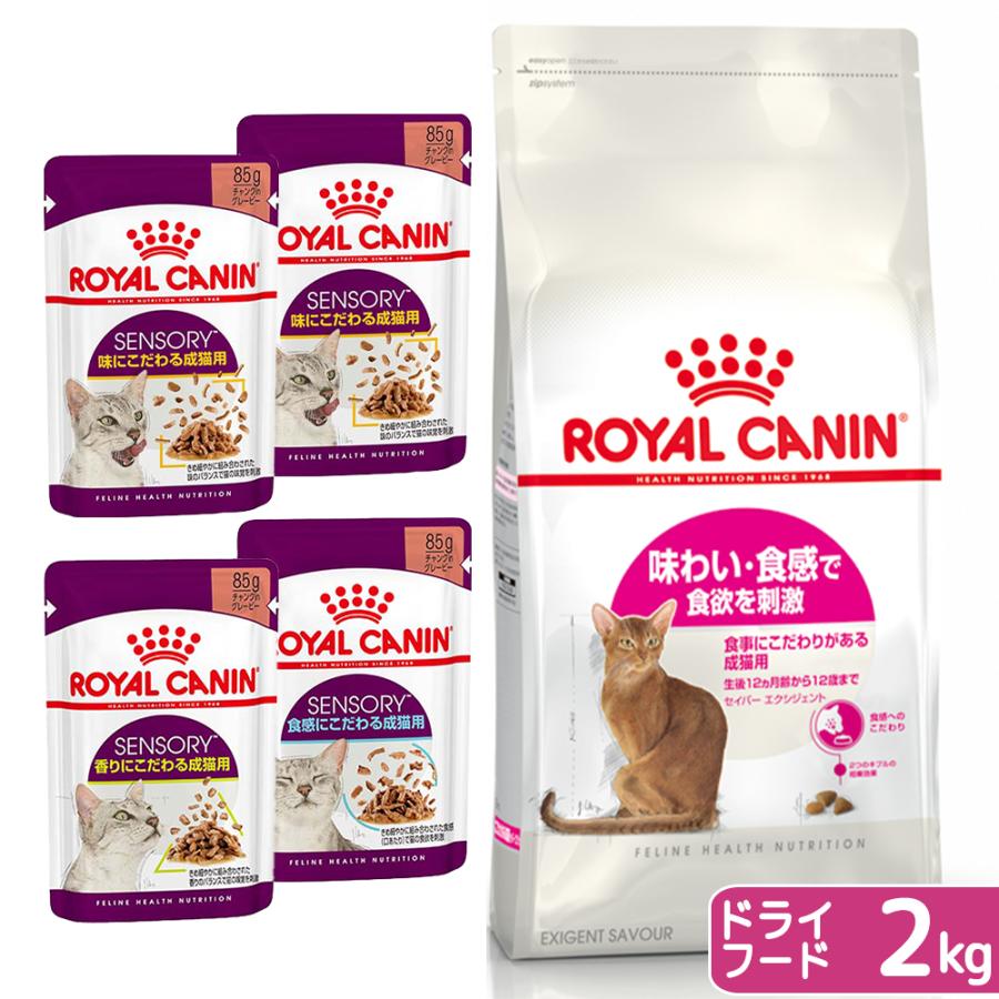  CANIN キャットフード ドライ 2kg×4袋 ロイヤルカナン（ROYAL CANIN） 猫 味にこだわる成猫用セット ドライ