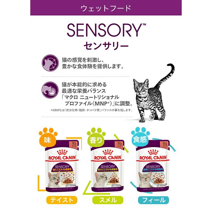 【レビュー記載でお試しウェット１袋付】ロイヤルカナン　猫　食が細く　やせ気味の成猫用セット　ドライ２ｋｇ　ジップ付　＋　センサリーウェット食べ比べ３袋｜chanet｜05