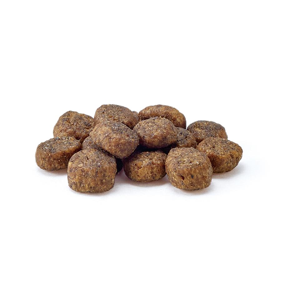 76 以上節約 マルカン ｔｈｅ ｐｅｒｆｅｃｔ ｏｎｅ ドワーフハムスター専用フード ３００ｇ6円 Aynaelda Com