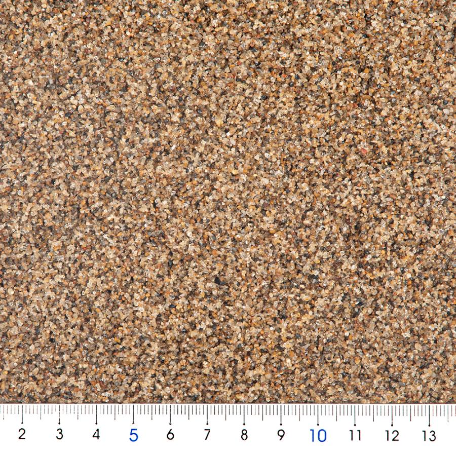 シンセー 津軽プレミアム 4kg お一人様4点限り : チャーム charm