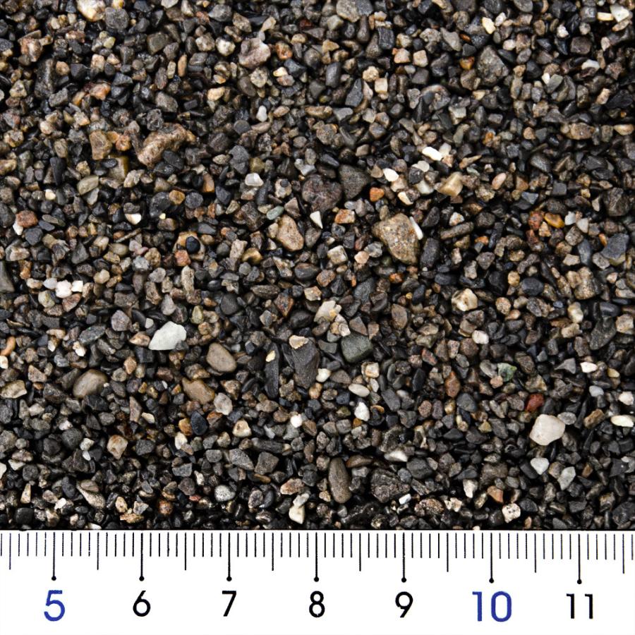 シンセー 大磯砂 細目 1．5kg お一人様15点限り : チャーム