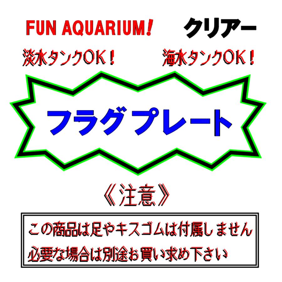 チョイス フラグプレート スモーク 単品 フラグサンゴ ラック