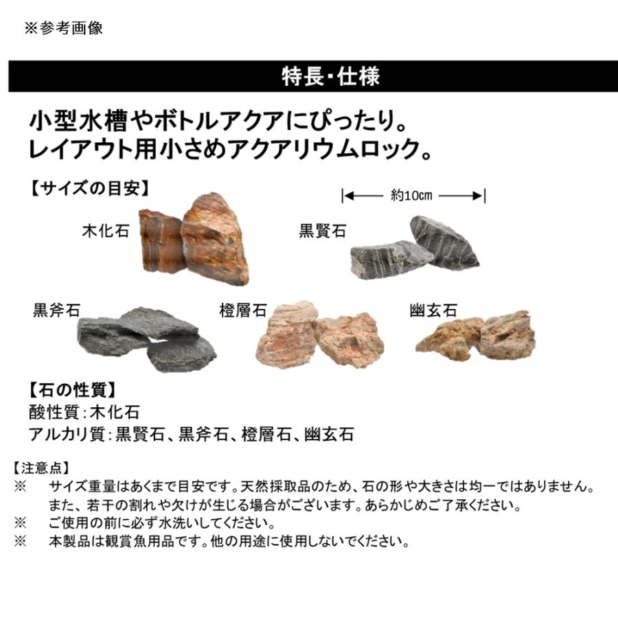 カミハタ プチアクアの石 黒賢石 400g 小型水槽 テラリウム