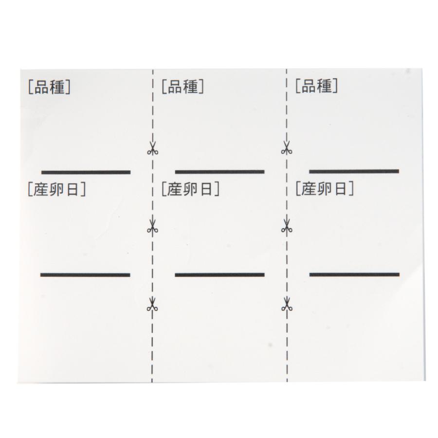 84 以上節約 カミハタ メダカのうずまき産卵床 緑 １個 孵化率９０ 産卵数アップ タグ付き490円 Aynaelda Com