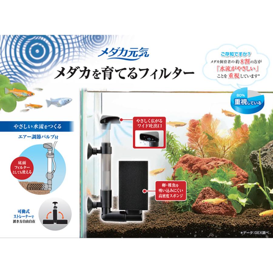 メダカ元気 GEX メダカ元気 メダカを育てるフィルターセット メダカ元気 GEX メダカ元気 メダカを育てるフィルターセット