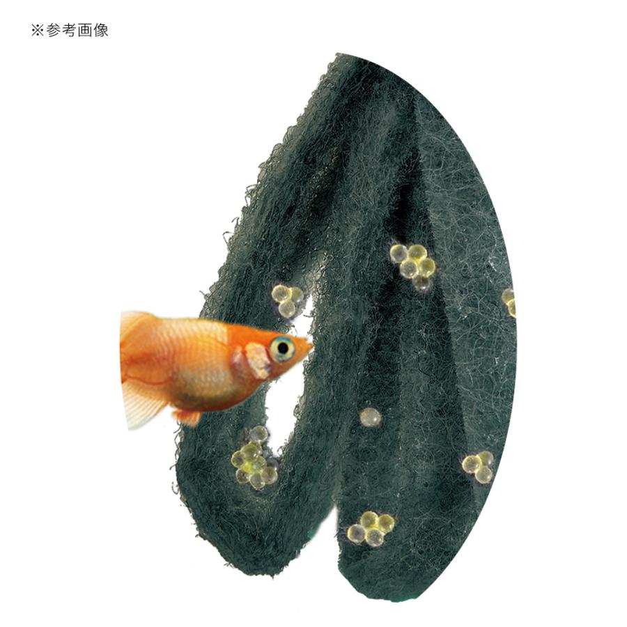 アウトレット品　ＧＥＸ　メダカ元気　卵のお守り産卵床　ループ　青　１個　訳あり | メダカ元気 | 02