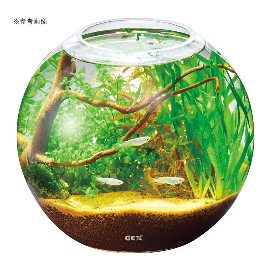 GEX GEX グラスアクア スフィア N 22cm テラリウム 小型 GEX GEX グラスアクア スフィア N 22cm テラリウム 小型