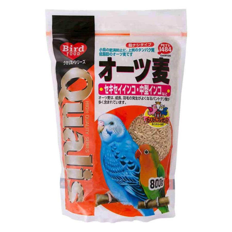 クオリス　オーツ麦　皮むき　８００ｇ　鳥　フード　餌　えさ　オーツ麦（燕麦）（Yahoo!・チャーム charm ヤフー店）