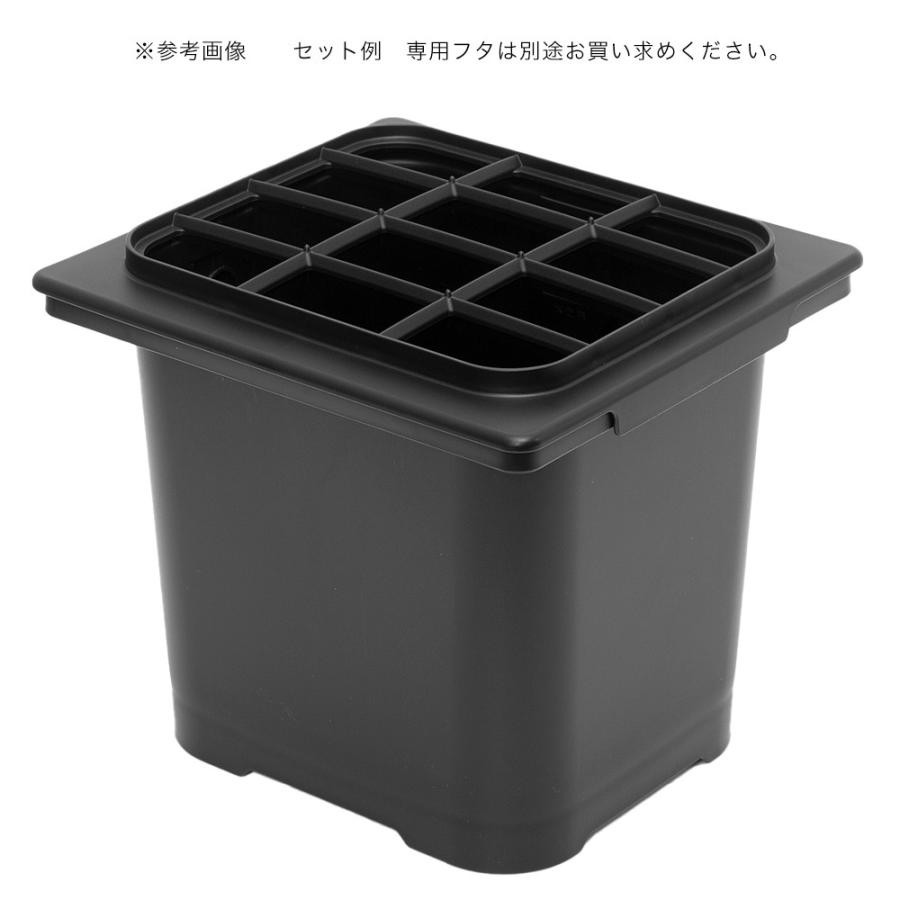 Tetra（テトラ） じょうろでキレイメダカ鉢 20 黒 めだか 水槽 鉢