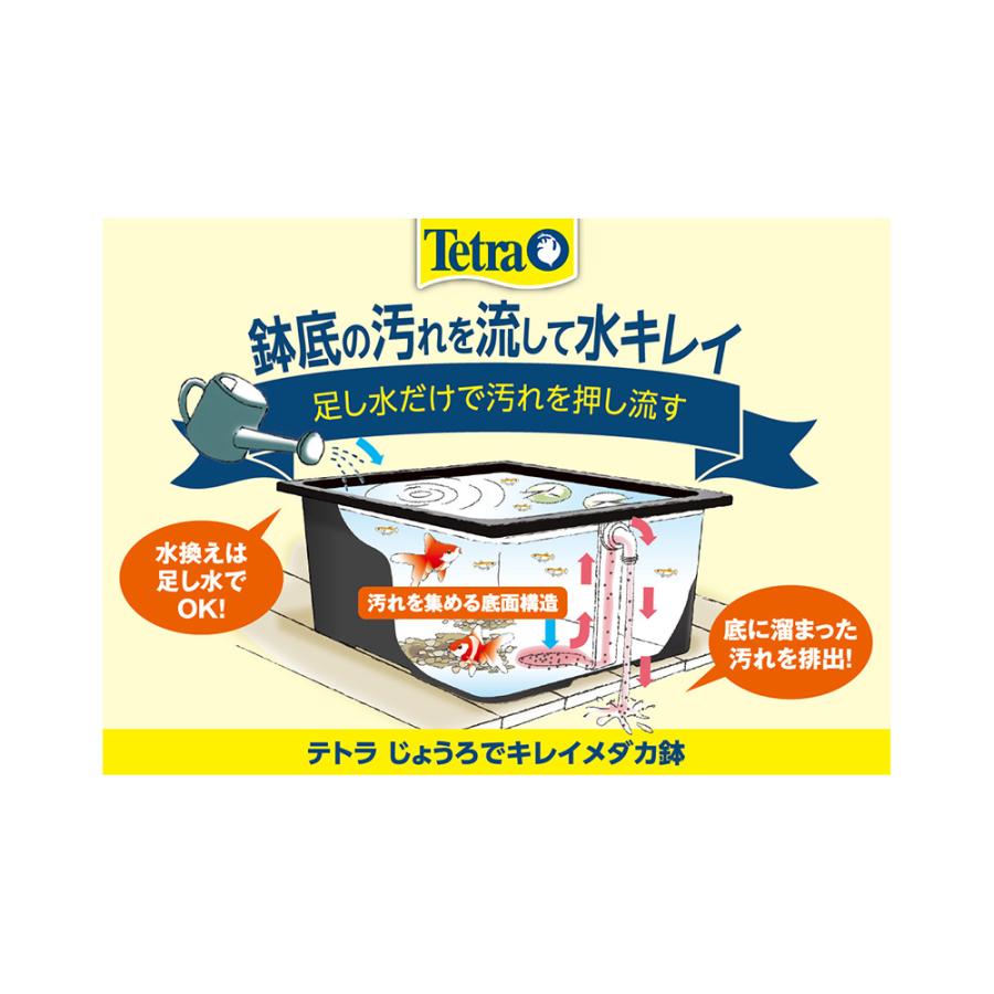 Tetra（テトラ） じょうろでキレイメダカ鉢 20 黒 めだか 水槽 鉢