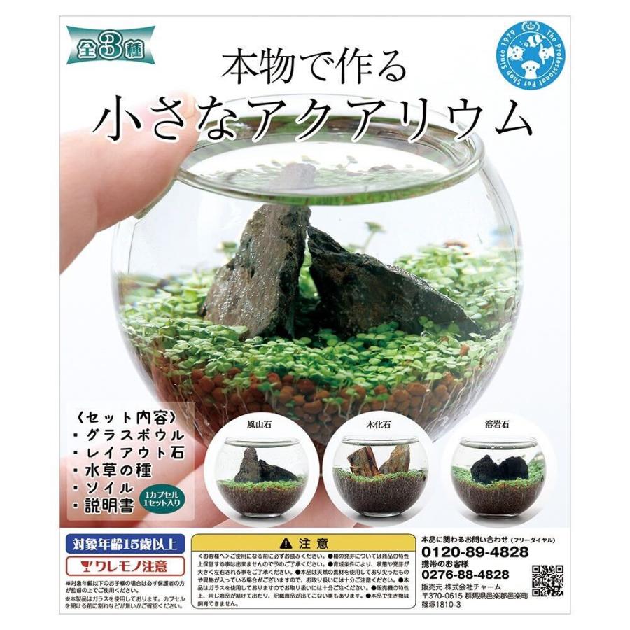 種類おまかせ　種から育てる　小さなアクアリウム　カプセルトイ（Yahoo!・チャーム charm ヤフー店）