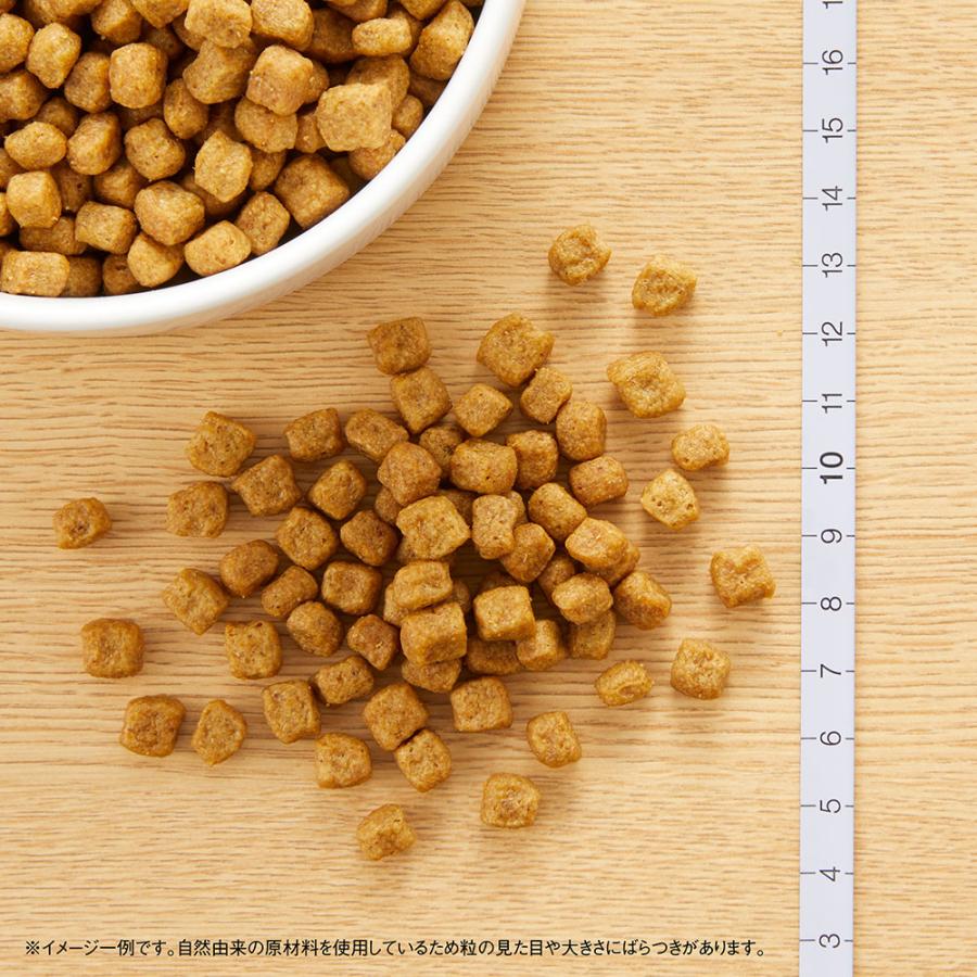 ニュートロ　ナチュラルチョイス　小型犬用　エイジングケア　チキン＆玄米　１ｋｇ　プレミアムチキン　お一人様５点限り | ナチュラルチョイス | 05