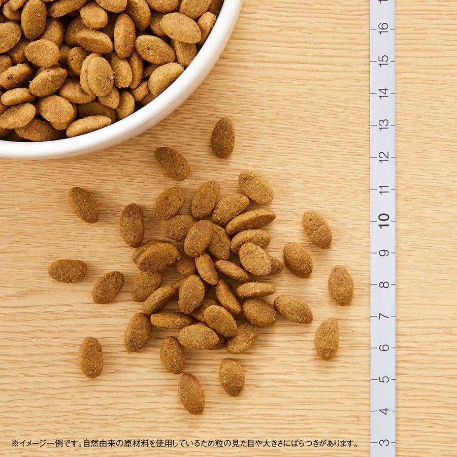 送料無料　ニュートロ　シュプレモ　小型犬用　成犬用　６ｋｇ | シュプレモ | 04