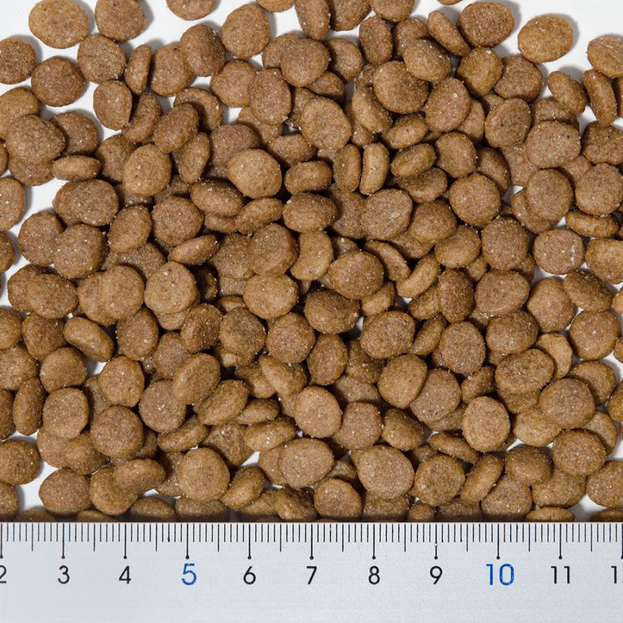 AIM30 キャットフード AIM30 室内成猫用 健康な尿路・毛玉ケア