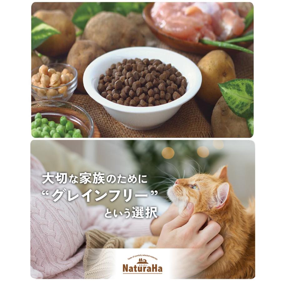 ナチュラハ キャットフード ナチュラハ グレインフリー チキン 室内