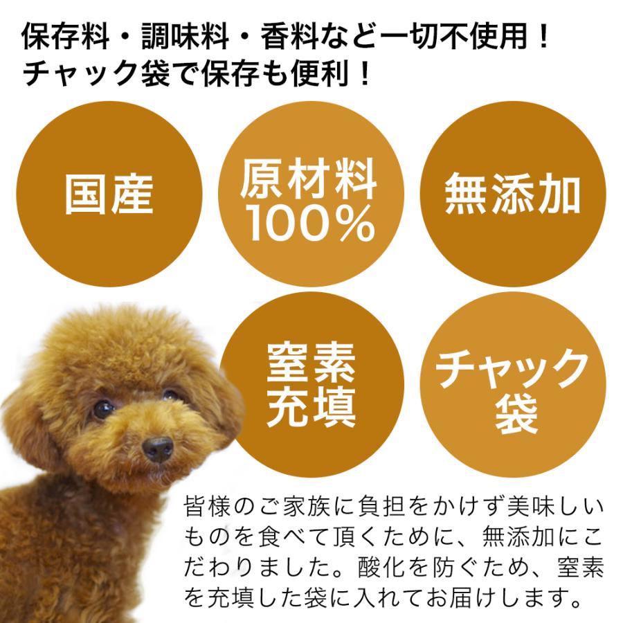Leaf Corp 犬 おやつ 国産無添加 うす〜いぱりぱりジャーキー3点