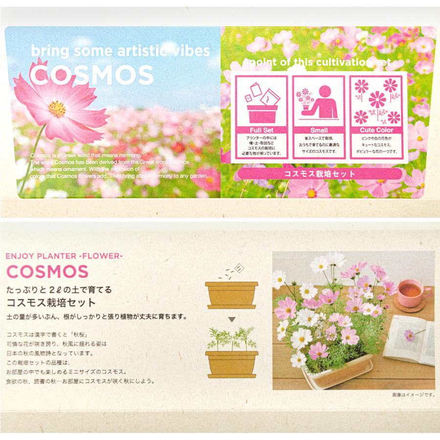 うのにもお得な 聖新陶芸 ｅｎｊｏｙ ｐｌａｎｔｅｒ ｆｌｏｗｅｒ ｃｏｓｍｏｓ Riosmauricio Com