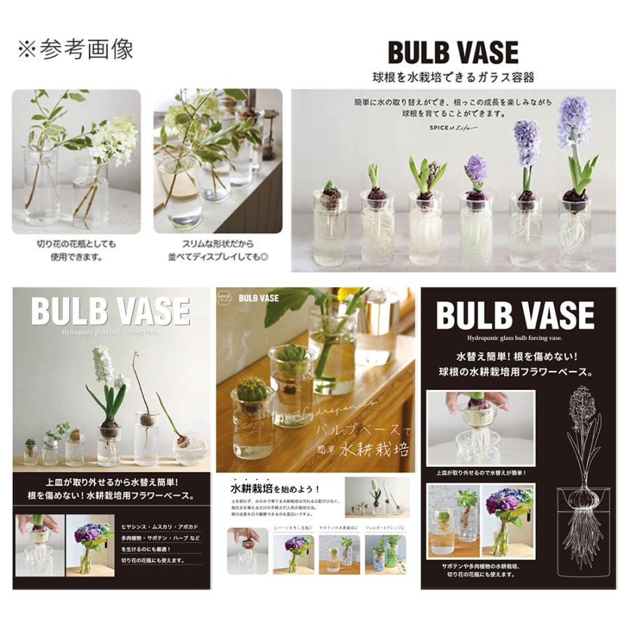 ＭＩＮＩ　ＢＵＬＢ　ＶＡＳＥ　水栽培ガラスベース　クリア　８．５ｃｍ｜chanet｜04