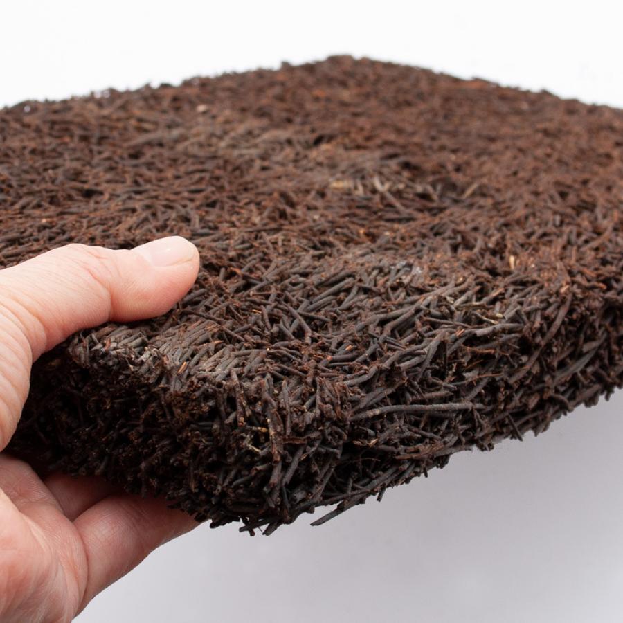 ヘゴ板 Leaf Corp ヘゴ板 1枚 33×21×3cm : チャーム charm ヤフー店