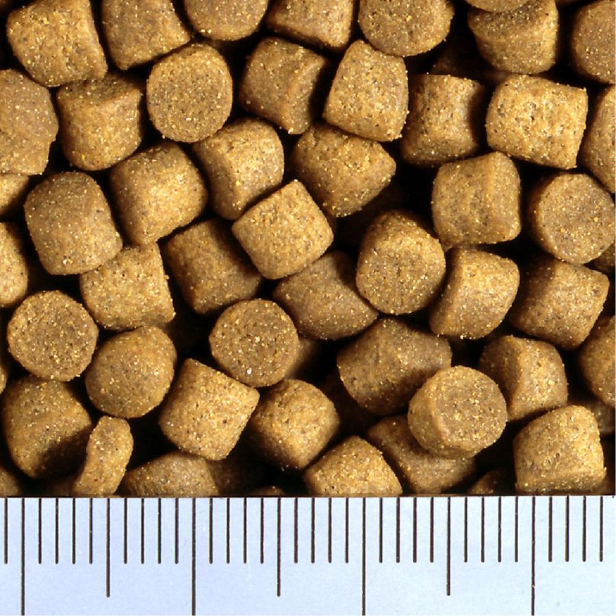 取寄せ商品　キョーリン　咲ひかり　増体用　沈下　Ｍ　２０ｋｇ　錦鯉　餌　飼料　鯉の餌_1