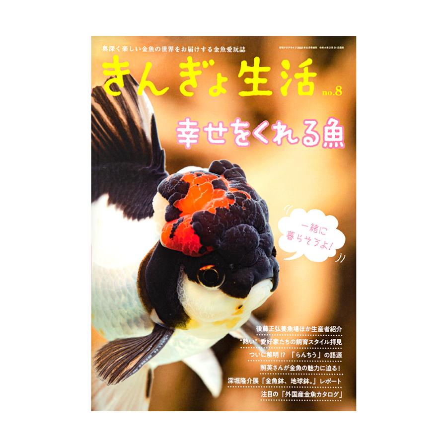 きんぎょ生活 No．8 : チャーム charm ヤフー店 - 通販 - Yahoo