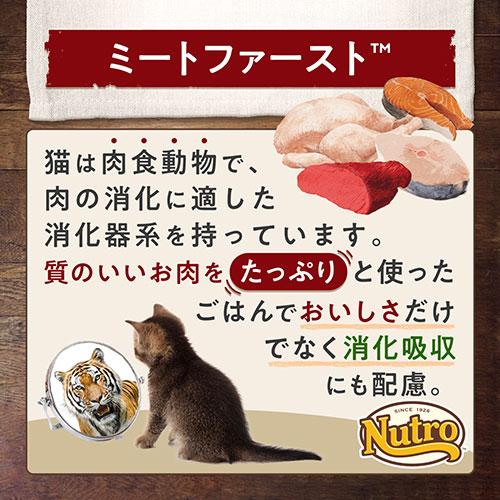 WILD RECIPE ニュートロ 子猫 キャット ワイルド レシピ キトン チキン