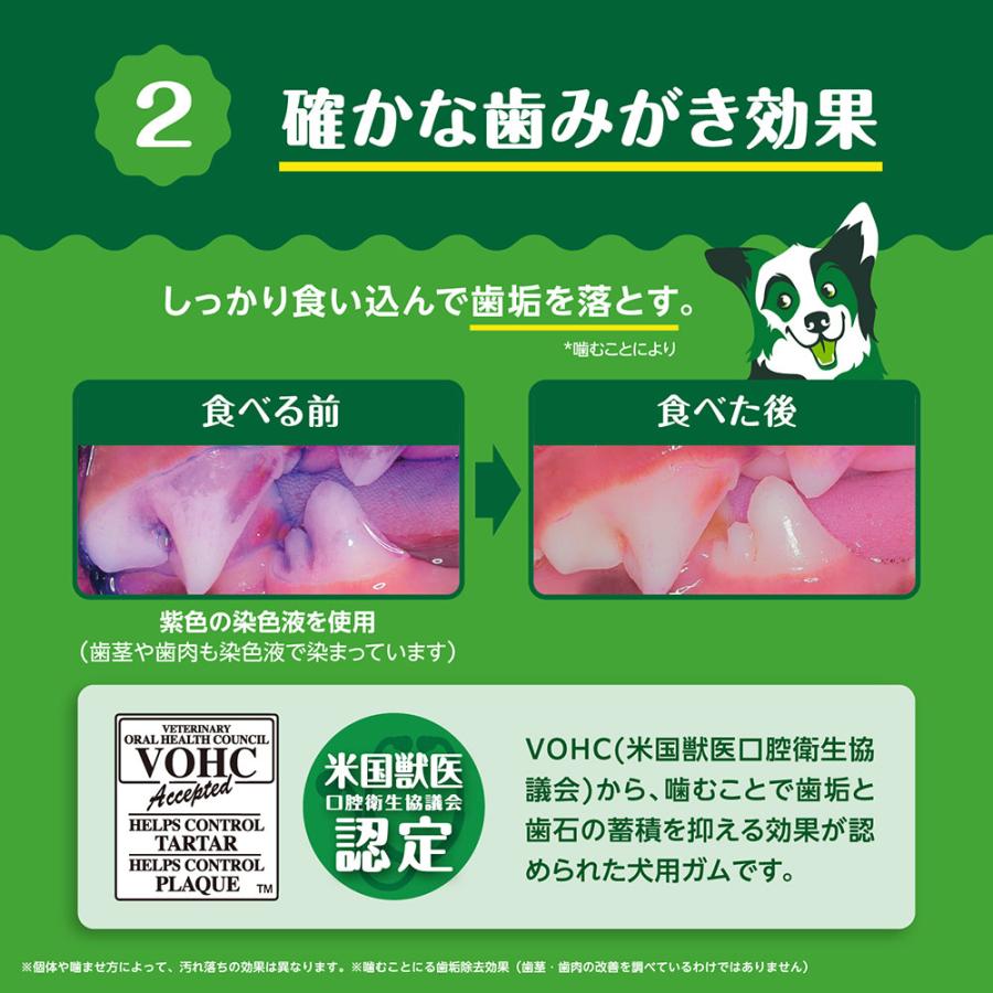グリニーズ プラス 30周年記念おまけ付き グリニーズ プラス