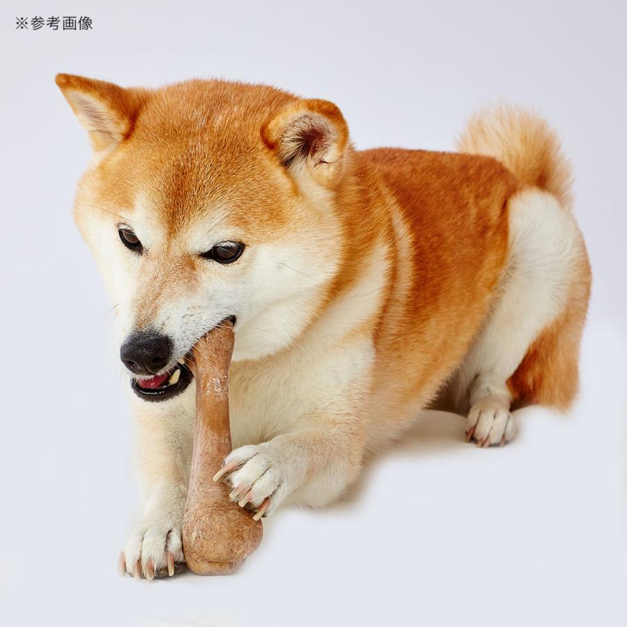 倉 ペティオ 犬用おもちゃ エシカルドア ウッディチューイングトイ ボーンｍ Cisama Sc Gov Br