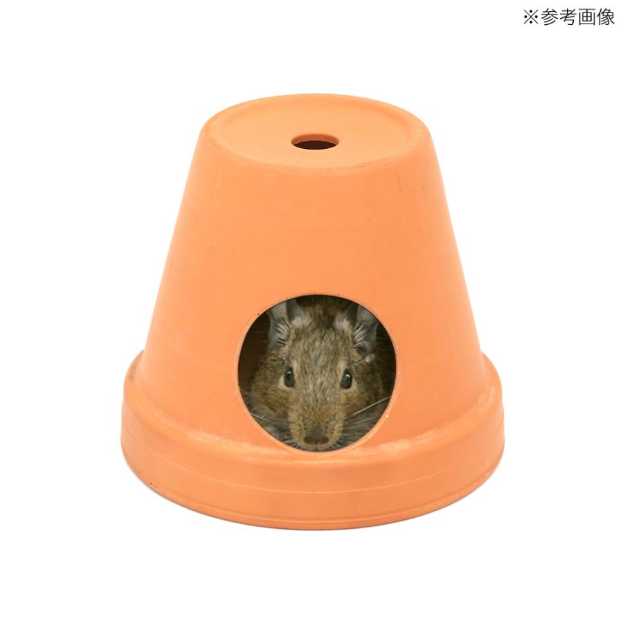 安全Shopping安全Shopping小動物のテラコッタハウス オレンジ 直径１５．５ｃｍ 高さ１４ｃｍ 巣、巣箱